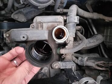 Toyota: Toyota Yaris: 2007 г., 1.3 л, Автомат, Бензин, Хэтчбэк — 25