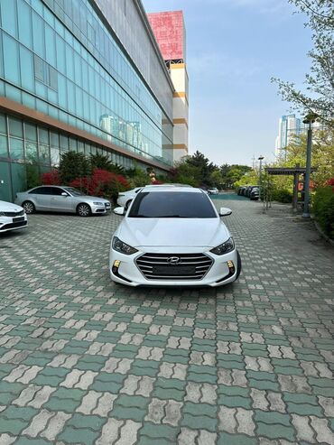 Транспорт: Hyundai Avante: 2017 г., 1.6 л, Автомат, Бензин, Седан