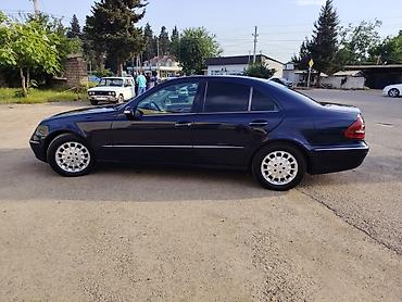 Mercedes-Benz: Mercedes-Benz E-Class: 2.2 l | 2005 il Sedan — 21