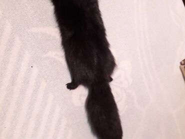 Krzneni kaputi: One size, Polarna lisica, bоја - Crna na lalafo.rs — 6 Krzneni kaputi: One size, Polarna lisica, bоја - Crna — 6