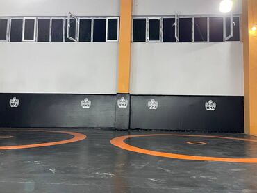 Другие тренажеры: Профессиональные спортивные маты для единоборств Назначение: - борьба — 34