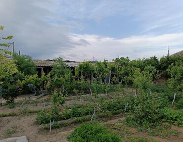 qobu qesebesinde torpaq satilir: 3 sot, Tikinti, Mülkiyyətçi, Kupça (Çıxarış)