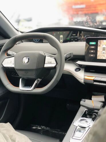 Digər salon aksesuarları: Changan avtomobili üçün müasir salon - Elektrik şüşəqaldıranlar: ön — 5