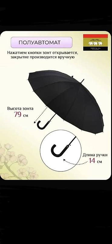 Зонты: Зонт, Зонт-трость, Полуавтоматический, Новый, Унисекс — 5