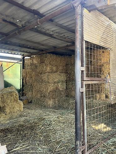 Sale of cottages and houses: Продаётся жилой дом. - Отдельный вход через металлические ворота с — 11