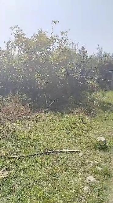 Продажа коттеджей и домов: Продается дом с приусадебным участком и госактом на право частной — 9