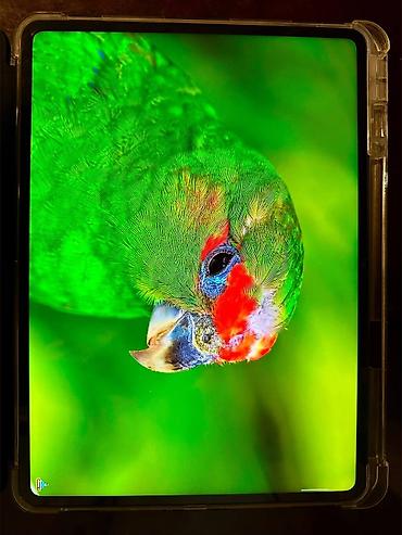 ipad qelemi: 🔥 İPAD M4 və M5 qatili OnePlus Pad 3 –Güclü oyun planşeti 🔥 İstənilən — 4