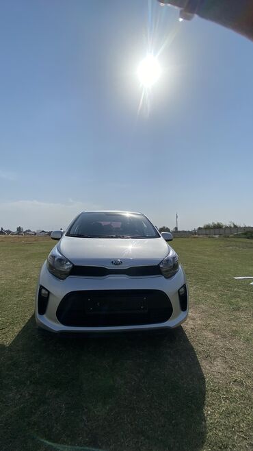 фольксваген кадди в бишкеке цена: Kia Morning: 2019 г., 1 л, Автомат, Бензин, Седан
