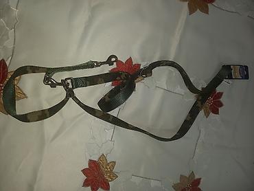 pojilica za macke: Trixie Dogs Activity pojas za struk sa povocem (Waist Belt with Lead) — 7