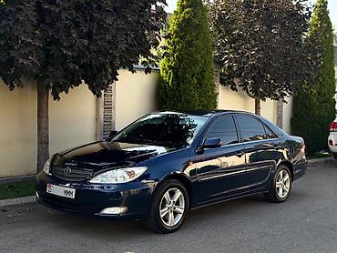пружины камри: Toyota Camry: 2004 г., 2.4 л, Автомат, Бензин, Седан — 1