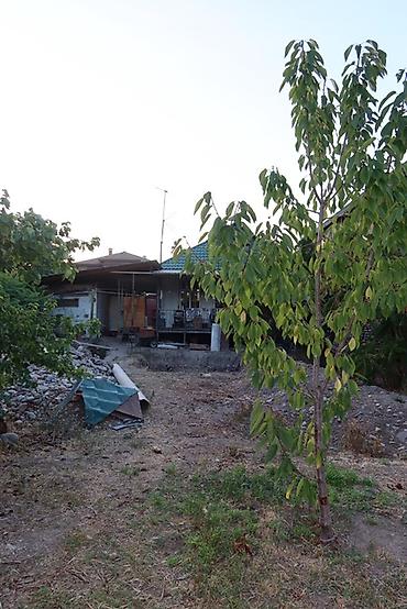 арка дом: 3 комнаты, 96 м², 7 соток, Джал, Риэлтор — 10