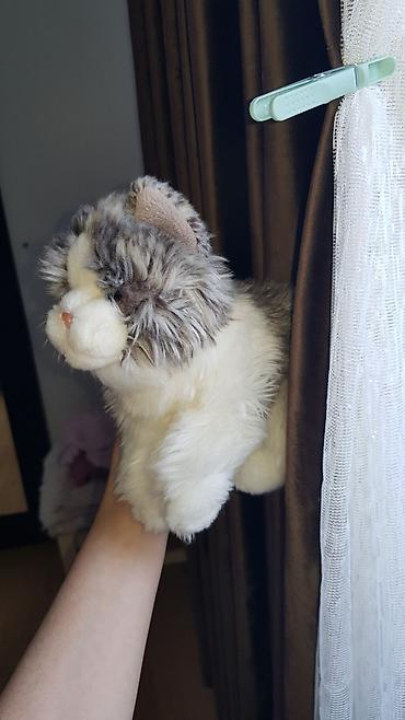 ragdoll qiymeti: Orijinal Brend və Premium pişik oyuncaqları (4 ədəd) - Teddy Hermann / — 5