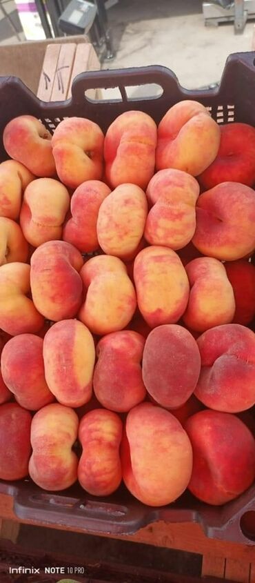 Meyvə və giləmeyvə: Bütün növ meyvə tinglərinin satışı mümkündür. Öz sahəmizdən satırıq — 11