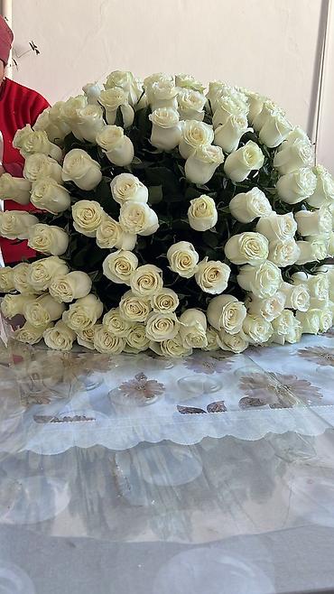 Букеты из живых цветов: Авторские букеты из свежих цветов - Розы премиум-класса (крупный — 27