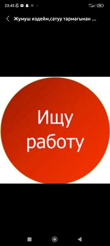 посудамойщица на дом: Сатуучу консультант, 1-2-жылдык тажрыйба, Аял