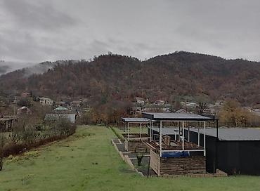 Torpaq sahələrinin satışı: TƏCİLİ SATILIR – Lerik, Hamarmeşə kəndi, 30-cu km Esas yola 50 metr — 12