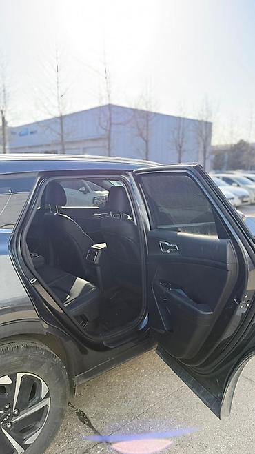 Kia: Kia Sportage: 2022 г., Кроссовер — 14