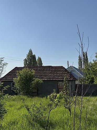 Продажа дач: СРОЧНО продаётся 2-х этажный загородный дом в с. Кун-Туу в — 13