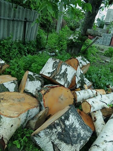 сколько стоит кубометр дров: Дрова Самовывоз, Платная доставка