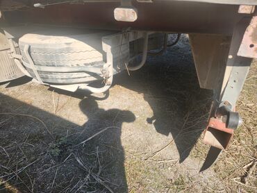 Тягачи: Тягач, DAF, 2000 г., Шторный — 8