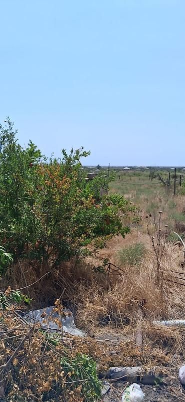 Bağ evlərinin satışı: Digah, 40 kv. m, 2 otaqlı, Hovuzlu, Su — 7