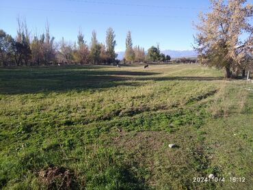 Сельхоз предприятия: Продаю Кошара, 50 соток, Действующий, Частично с оборудованием — 5