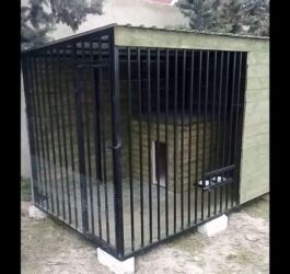 Yuvalar: It və pişik yuvaları — 28