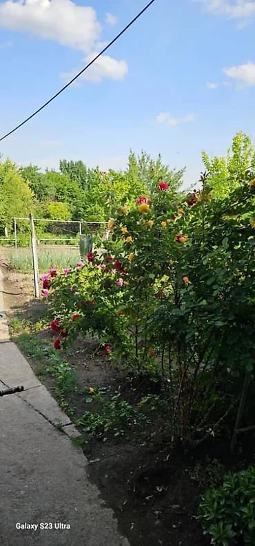 Продажа коттеджей и домов: Продаю дом район аламедин базар — 9