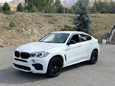 cobra выхлопные системы для мотоциклов: BMW X6: 2016 г., 3 л, Автомат, Бензин, Кроссовер