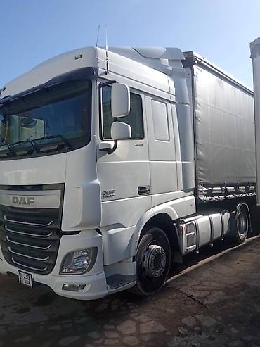 хово 310: Тягач, DAF, 2014 г., Без прицепа — 4