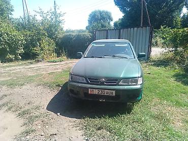 e klass: Nissan Primera: 1999 г., 2 л, Механика, Бензин, Хэтчбэк — 2