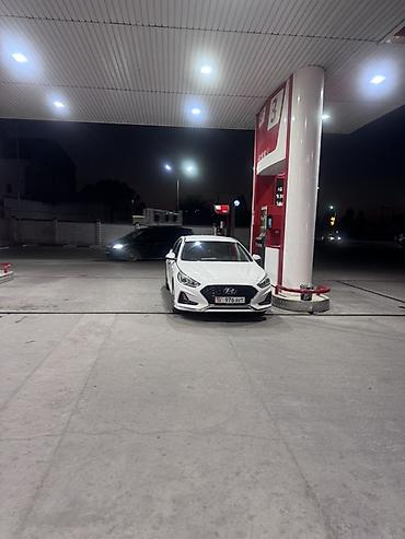 145 r13c: Hyundai Sonata: 2017 г., 2 л, Автомат, Бензин, Седан — 2
