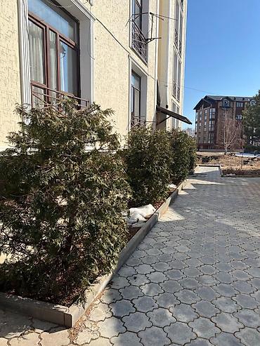 Продажа квартир: 1 комната, 26 м², Индивидуалка, Евроремонт — 11