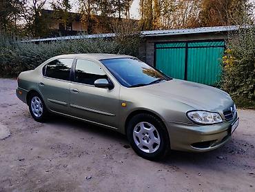 nissan stanza: Nissan Maxima: 2000 г., 2 л, Автомат, Бензин, Седан — 1