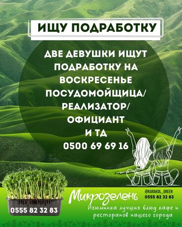 Посудомойщицы: Ищем работу в Караколе ☝🏻