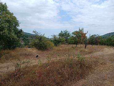 Torpaq sahələrinin satışı: 170 sot, Biznes üçün, Mülkiyyətçi, Kupça (Çıxarış) — 12