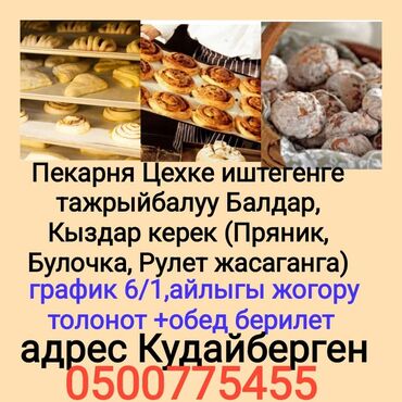оборудования для пекарни: В пекарню требуется мастер технолог,только с опытом работы. Ватсап