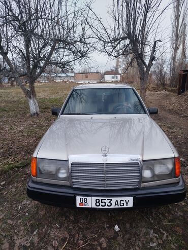 Mercedes-Benz: Mercedes-Benz W124: 1989 г., 2 л, Механика, Бензин