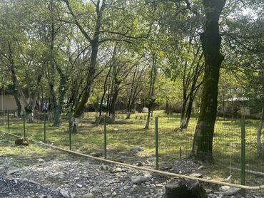 Torpaq sahələrinin satışı: 77 sot, Biznes üçün, Mülkiyyətçi, Kupça (Çıxarış) -da lalafo.az — 7 Torpaq sahələrinin satışı: 77 sot, Biznes üçün, Mülkiyyətçi, Kupça (Çıxarış) — 7