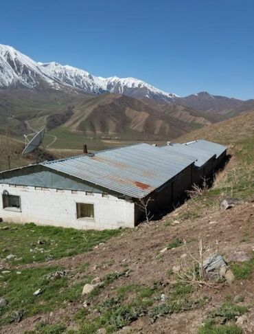 Продажа домов: Дом, 500 м², 1 комната, Агентство недвижимости, Старый ремонт — 8