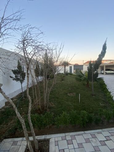 Həyət evləri və villaların satışı: 7 otaqlı, 200 kv. m, Yeni təmirli — 21