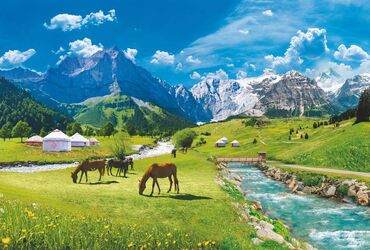 Фотообои: 🎁 АКЦИЯ! Клей белекке! 🎁 5 м²ден жогору фотообоига заказ берсеңиз – — 19