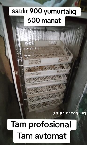 Süd sağan aparatlar: Inkubator satılır 900 yumurta tutur təcili satılır deyə bu qiymətə