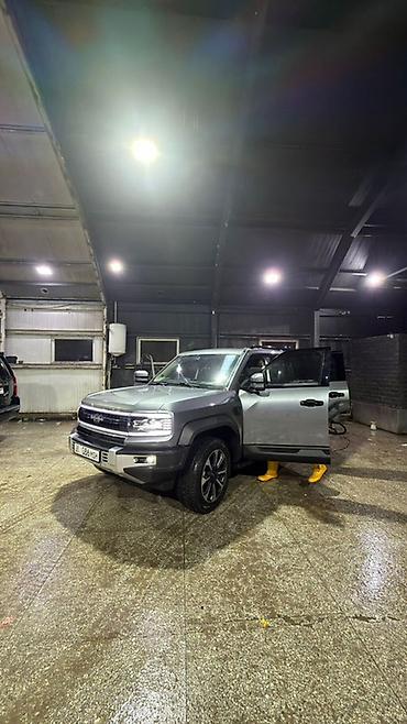 BAW: BAW : 2025 г., Внедорожник — 6