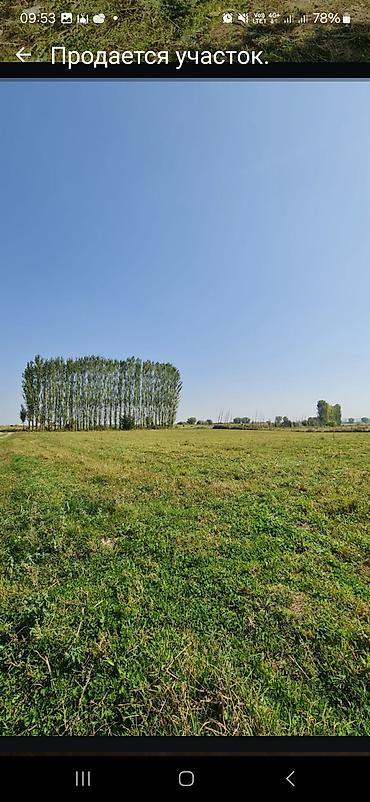 меняю участок: 15 соток, Для сельского хозяйства, Договор купли-продажи — 2