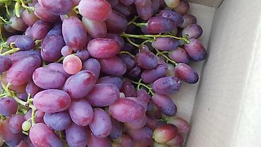 Продажа участков: 100 соток, Для бизнеса, Договор купли-продажи at lalafo.kg — 8 Продажа участков: 100 соток, Для бизнеса, Договор купли-продажи — 8