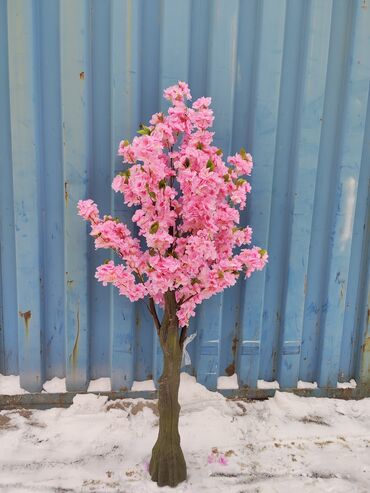 декоративные деревья бишкек: Продаю искусственные деревья декоративной сакуры (оптом) высота