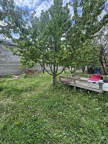 Продажа участков: 6 соток, Для строительства, Красная книга, Тех паспорт, Договор купли-продажи — 3