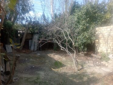 Həyət evləri və villaların satışı: 3 otaqlı, 60 kv. m, Kredit yoxdur, Orta təmir — 13