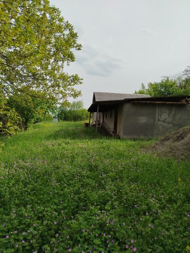 Torpaq sahələrinin satışı: 24 sot, Biznes üçün, Mülkiyyətçi, Kupça (Çıxarış) — 2